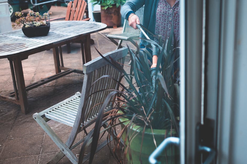 Through window crop anonymous female in casual clothes watering big potted plant from hosepipe in backyard